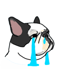 We are funny French Bulldogs sticker #9610391