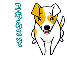 Jack Russell Terrier Sticker 2 sticker #9610725