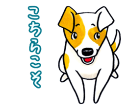 Jack Russell Terrier Sticker 2 sticker #9610725