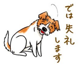 Jack Russell Terrier Sticker 2 sticker #9610727