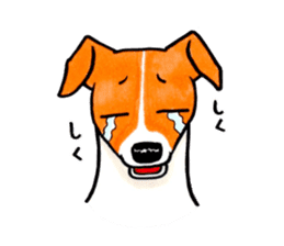 Jack Russell Terrier Sticker 2 sticker #9610729