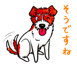 Jack Russell Terrier Sticker 2 sticker #9610739