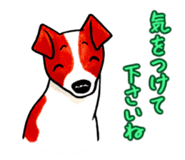 Jack Russell Terrier Sticker 2 sticker #9610742