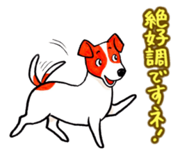 Jack Russell Terrier Sticker 2 sticker #9610757