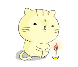 Two face  CAT sticker #9611030