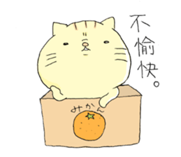 Two face  CAT sticker #9611036