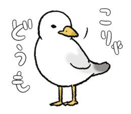 seagull sticker #9611840