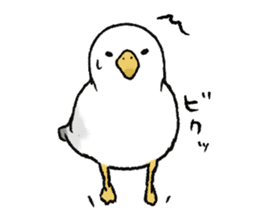 seagull sticker #9611852