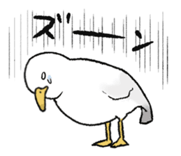 seagull sticker #9611854