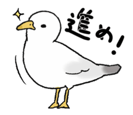 seagull sticker #9611855