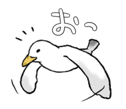 seagull sticker #9611860
