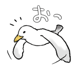 seagull sticker #9611860