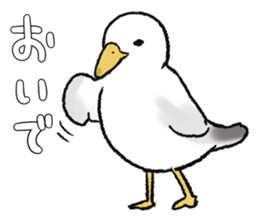 seagull sticker #9611864