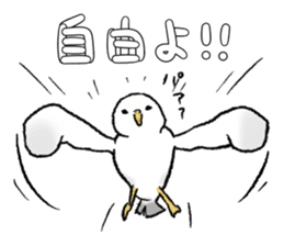 seagull sticker #9611865