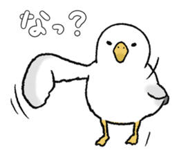 seagull sticker #9611870