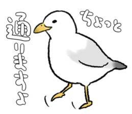 seagull sticker #9611871