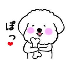 Maru the Maltese dog vol.2 sticker #9614757