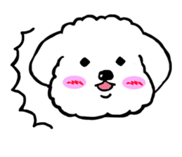 Maru the Maltese dog vol.2 sticker #9614760