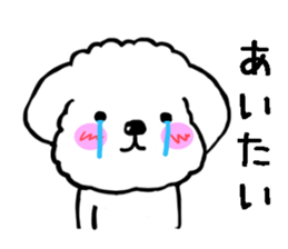 Maru the Maltese dog vol.2 sticker #9614780