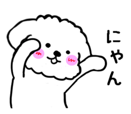 Maru the Maltese dog vol.2 sticker #9614782