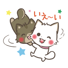 mild-shiba-inu-Combi -everyday-