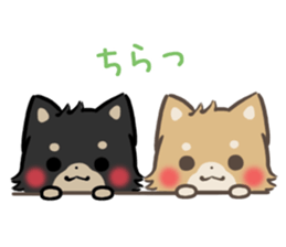 mild-shiba-inu-Combi -everyday- sticker #9619180