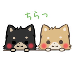 mild-shiba-inu-Combi -everyday- sticker #9619180