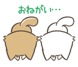 mild-shiba-inu-Combi -everyday- sticker #9619183