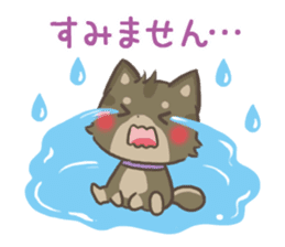 mild-shiba-inu-Combi -everyday- sticker #9619189