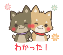 mild-shiba-inu-Combi -everyday- sticker #9619191