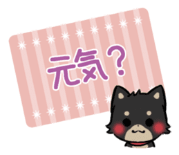 mild-shiba-inu-Combi -everyday- sticker #9619192