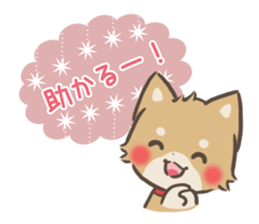 mild-shiba-inu-Combi -everyday- sticker #9619198