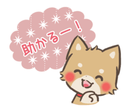 mild-shiba-inu-Combi -everyday- sticker #9619198