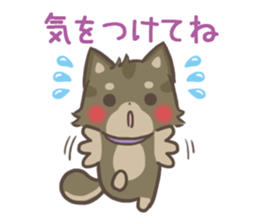 mild-shiba-inu-Combi -everyday- sticker #9619205