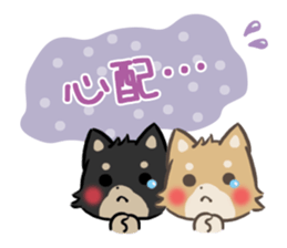 mild-shiba-inu-Combi -everyday- sticker #9619206