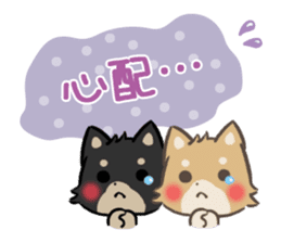mild-shiba-inu-Combi -everyday- sticker #9619206