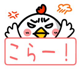 Chicken Face & Message sticker #9619804