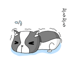 Strange Dougie sticker #9620206