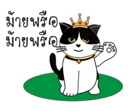 Southern-Thai Cat sticker #9621449