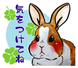 Sticker of rabbit owners 2 sticker #9625266