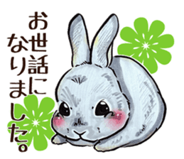 Sticker of rabbit owners 2 sticker #9625271