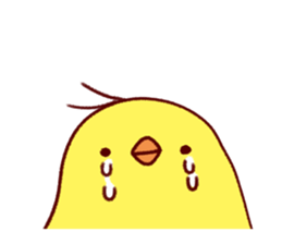 You can use day long morning to night sticker #9626305