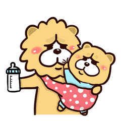 Chow Chow has a wonderful day!