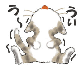 Oh! my Cats sticker #9631035