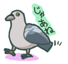 The surreal Pigeon sticker #9631757