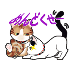 I want to have always with you Cat Ver. sticker #9633411