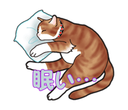 I want to have always with you Cat Ver. sticker #9633415
