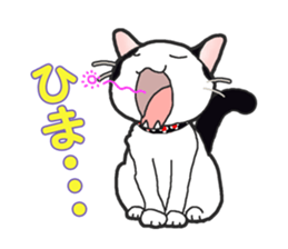 I want to have always with you Cat Ver. sticker #9633423