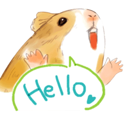 Capybara and Guinea pigs sticker #9633928