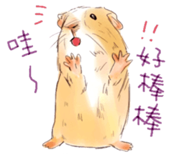 Capybara and Guinea pigs sticker #9633934